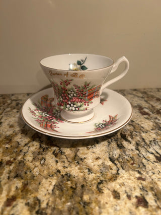 Tartan of B.C. Teacup and Saucer    MTS|128476