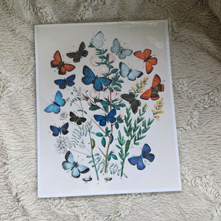 Butterfly Art Print (8x10)