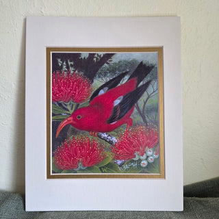 Vtg "Songs of the Islands" Matted Art Print