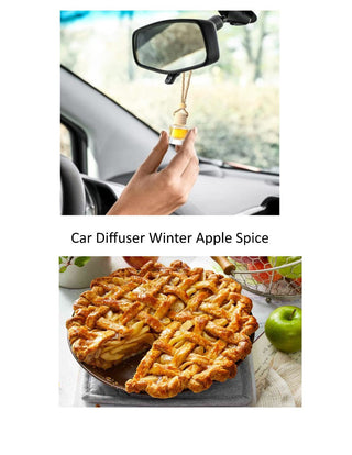 Car Diffuser Winter Apple Spice MTS