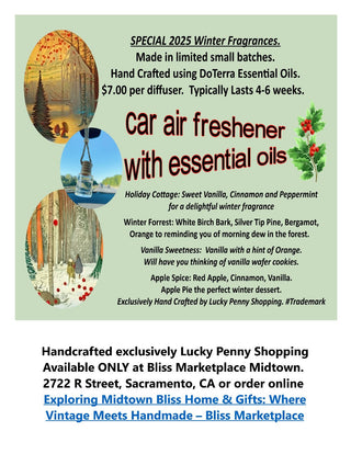 Car Diffuser Winter Apple Spice MTS