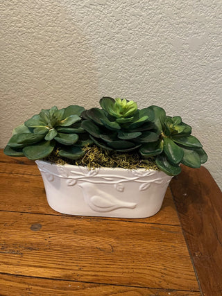 Succulent Planter with Bird on Front RCD