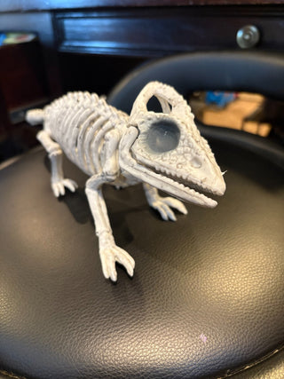 Skeleton Lizard w/moveable jaw 14"long, 4.5" tall RCD|115452