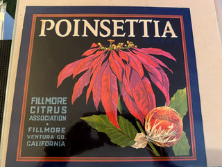 Poinsettia Authentic Citrus Farm Crate Label EC075-15 MTS