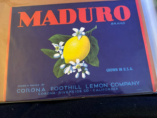 Maduro Authentic Citrus Farm Crate Label EC058 MTS