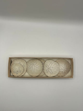 #3297 Authentic Sand Dollars 7-Set