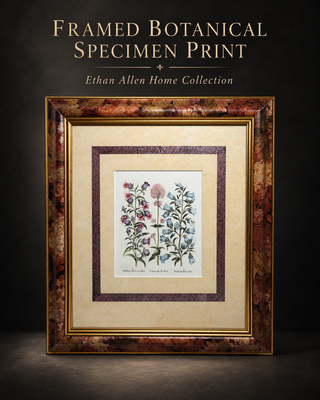 Vintage Ethan Allen Home Collection Framed Botanical Print, No. 07-1505 A