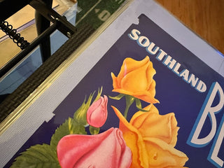 Southland Beauties Authentic Citrus Farm Crate Label EC098 MTS
