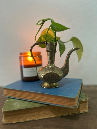 10H brass etched pitcher with pothos MTS