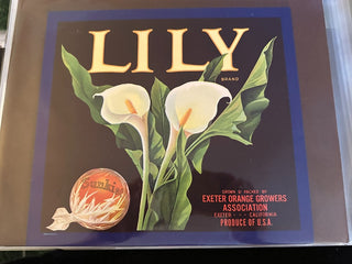 Lily Authentic Citrus Farm Crate Label EC049 MTS|100306