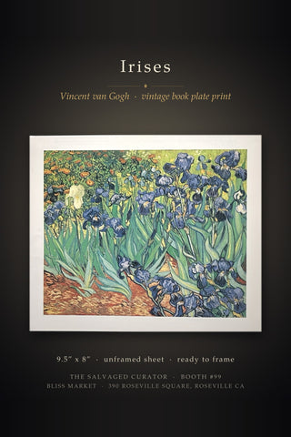 Irises Vincent van Gogh Impressionist Purple Floral Flower Garden Landscape Book Print
