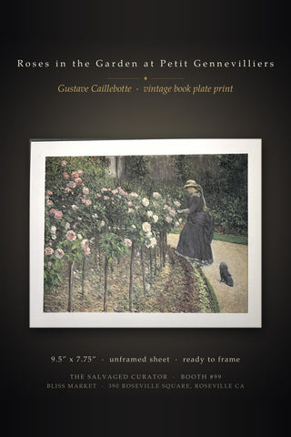 Roses in the Garden at Petit Gennevilliers Gustave Caillebotte Impressionist Book Print