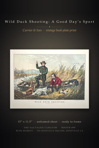 Wild Duck Shooting A Good Days Sport Currier & Ives Vintage Waterfowl Hunting Book Print