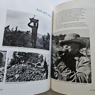 Vintage California Wine [Hardcover]