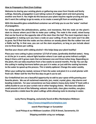 Plant Hanging Jar Suncatcher PSP07 MTS|106098