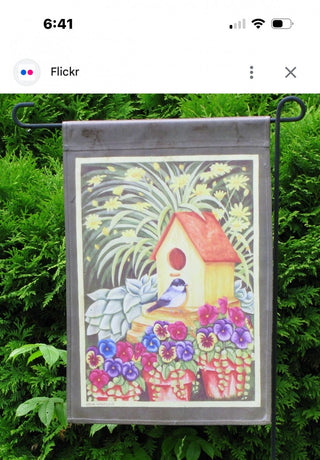 Spring Flag #62 VV MTS