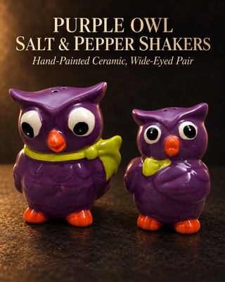 Purple Owl Salt and Pepper Shakers Set Ceramic Googly Eyes Fall 2.75"