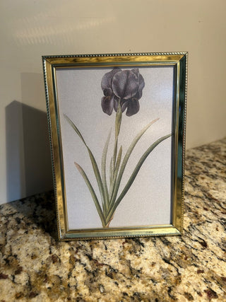Vintage Gold Frame, 5x7   MTS