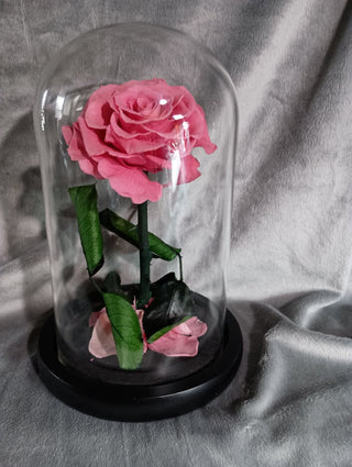 Forever Rose rsv