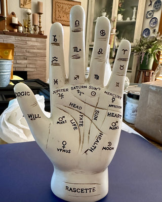 Palmistry Model/Fortune Telling Hand|102059