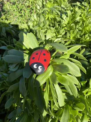 Handcrafted Ladybug art rock RCD