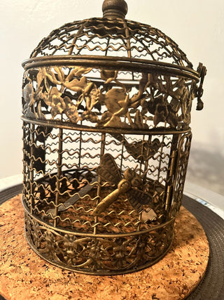 Bird Cage Décor Scallop Wire MTS
