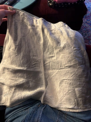 Babaton Aritzia skirt