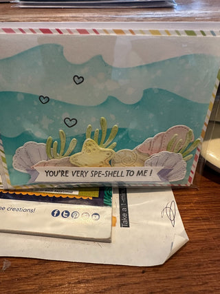 Greeting Card - "You're very spe'shell to me!" seashells G192