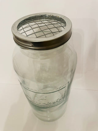 13.50" Tall Large Botanical Jar|93096