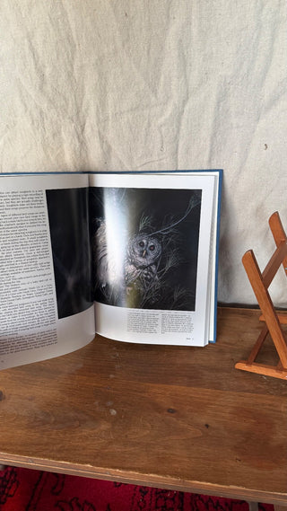 (Vintage) 1988 Photographing Wildlife hardback (LZD-RSV)