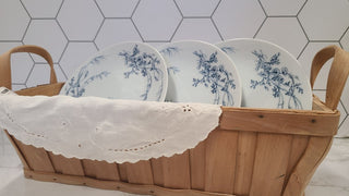 Williams-Sonoma Dish