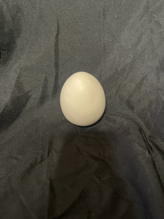 pink egg rsv