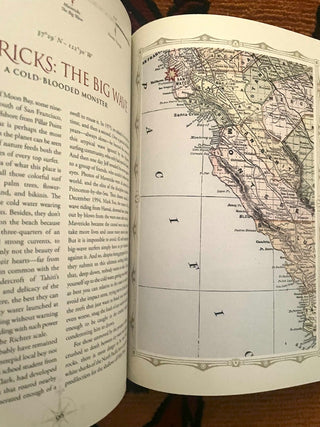 Atlas of Cursed Places MTS|80695