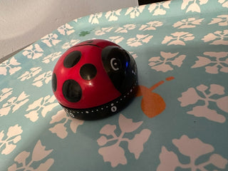 Timer Ladybug MTS|115271