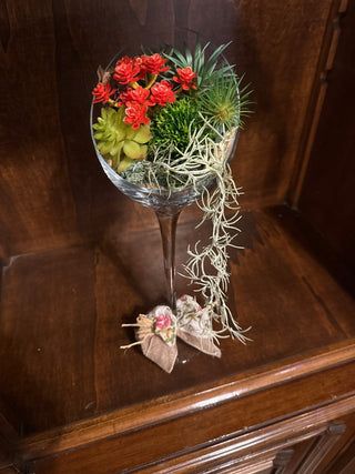 Cascading succulent arrangement in a glass globe