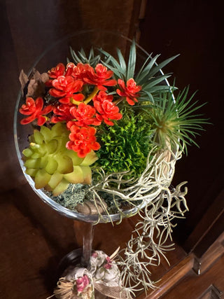 Cascading succulent arrangement in a glass globe