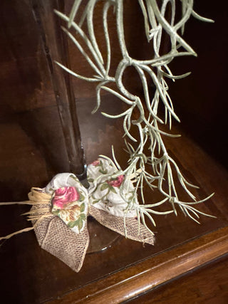 Cascading succulent arrangement in a glass globe