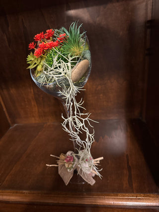 Cascading succulent arrangement in a glass globe