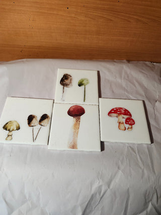 Four inch mushroom coasters r c d