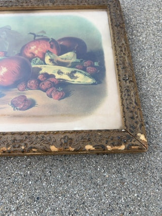 JP Vintage Frame with vintage framed still-life print of fruit