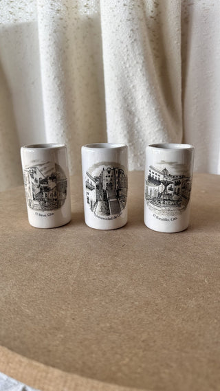 Guanajuato, MEX Tumbler (LZD - RSV)|73462