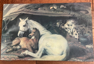 VINTAGE LITHOGRAPH ON CANVAS