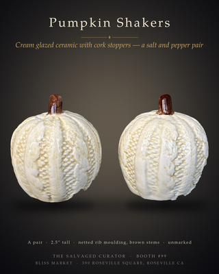 White Pumpkin Salt & Pepper Shakers — Netted Rib Ceramic, Cork Stoppers