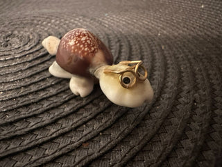 Turtle Shell w/glasses|55893