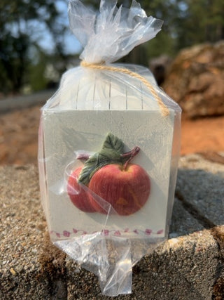 Apple Coaster Set