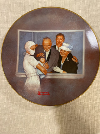 Vintage Norman Rockwell American Family Series 2 New Arrival Plate Limited Edition RSV