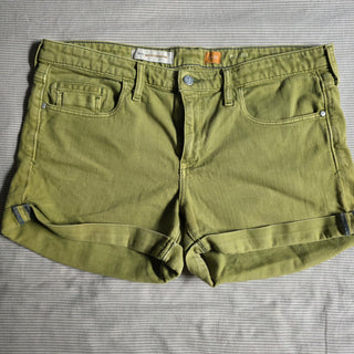 Pilcro & the Letterpress | Green Jean Shorts (32)