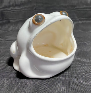 Frog Sponge Holder|53310