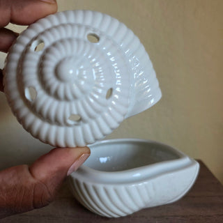 SALE - White Nautilus Shell Lidded Bowl