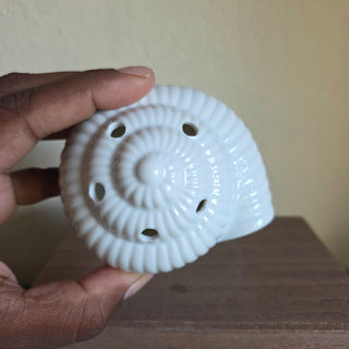 SALE - White Nautilus Shell Lidded Bowl